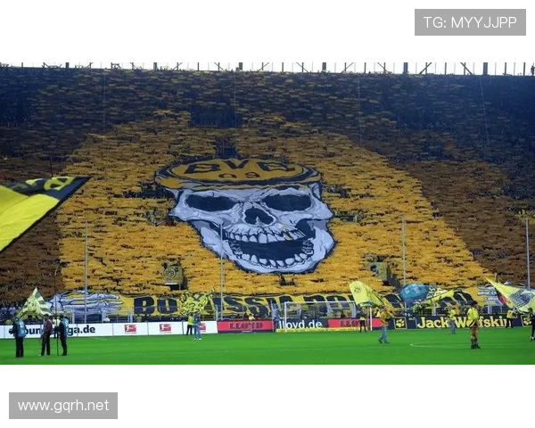 芬兰球迷雪鸮军团助威国家队表现稳健