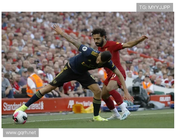 水晶宫阵容深度